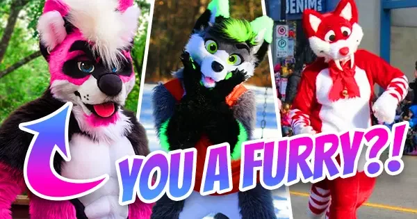 Are You A True Furry? Take This Quiz!