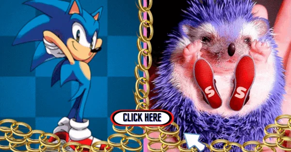 Sonic The Hedgehog 2 Trivia — Identify The Characters Based On Their Unique Abilities!